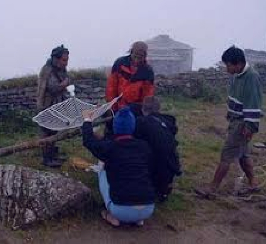 Timeline 3 Additional